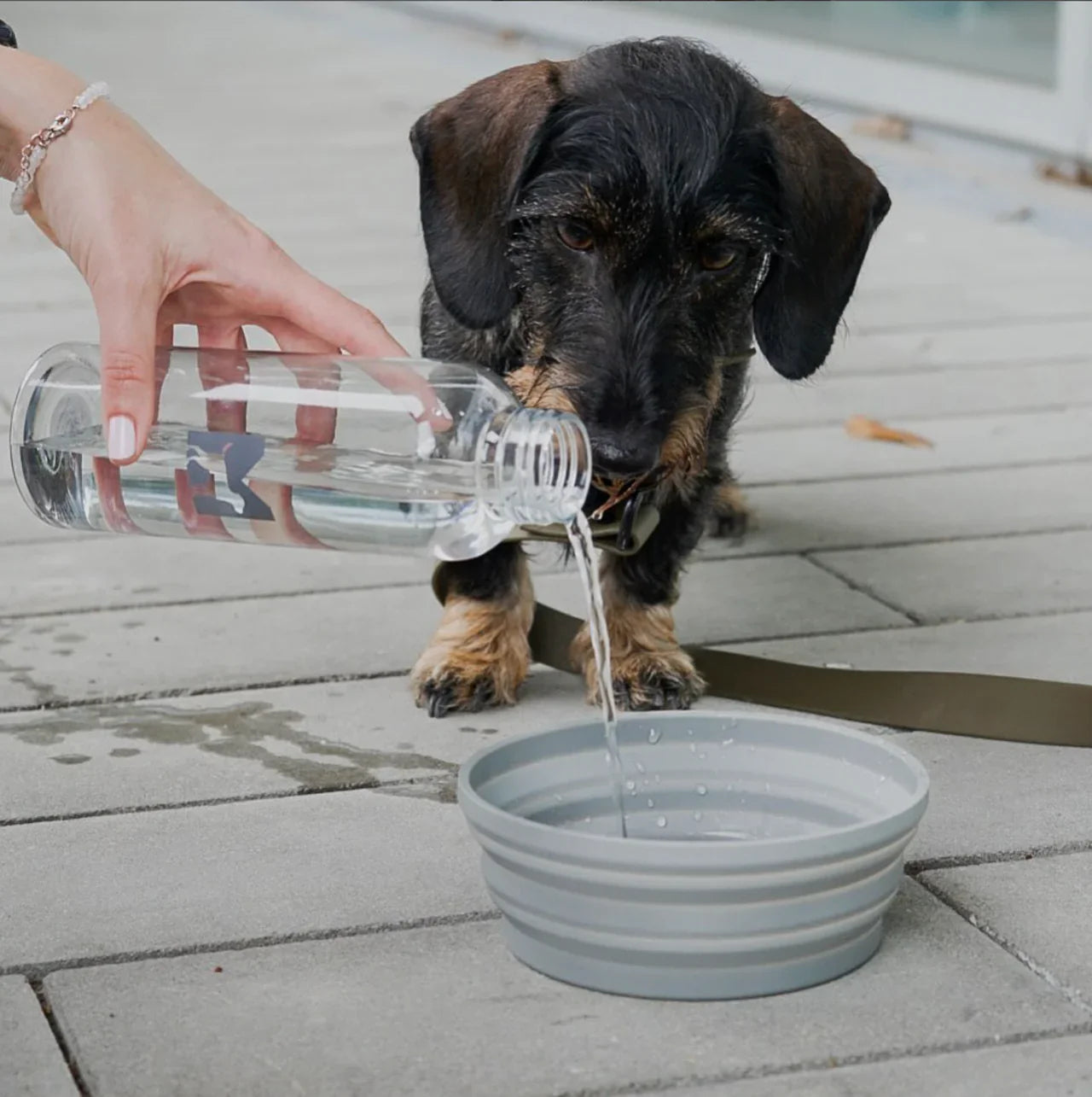 Honden reiskom Piega + Bottiglia waterfles